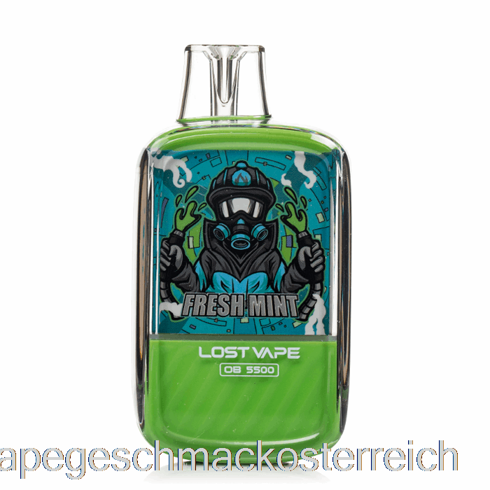 Lost Vape Ob5500 Einweg-Vape-Geschmack Mit Frischer Minze